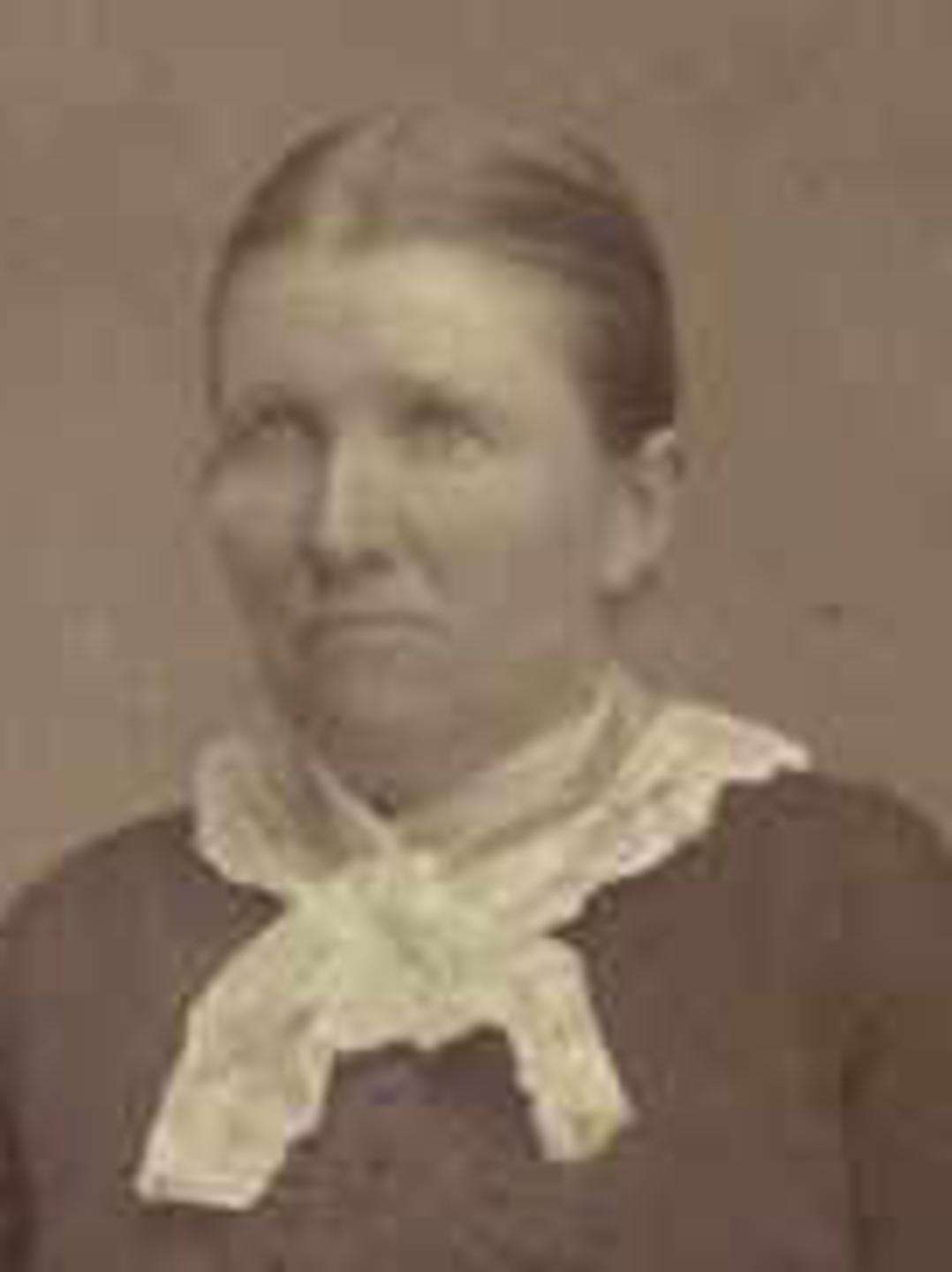 Mary Elizabeth Mathews (1842 - 1912) Profile